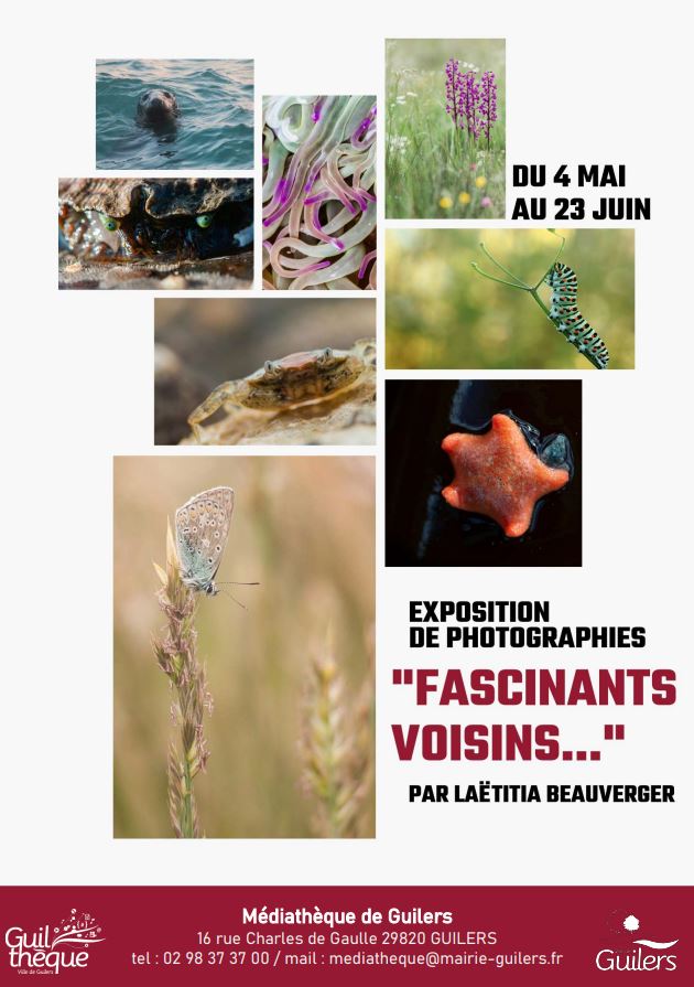 Fascinants voisins