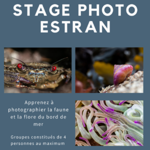 Calendrier des stages estran